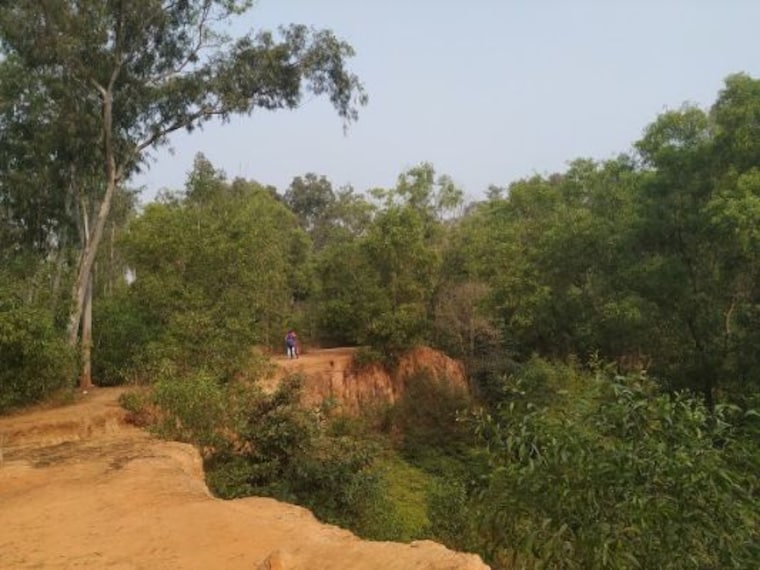 Khoai Sonajhuri Forest-3